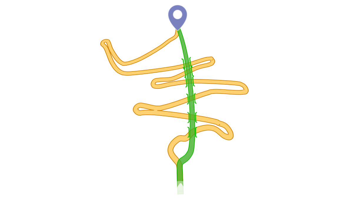 Compliance Paths Diagram