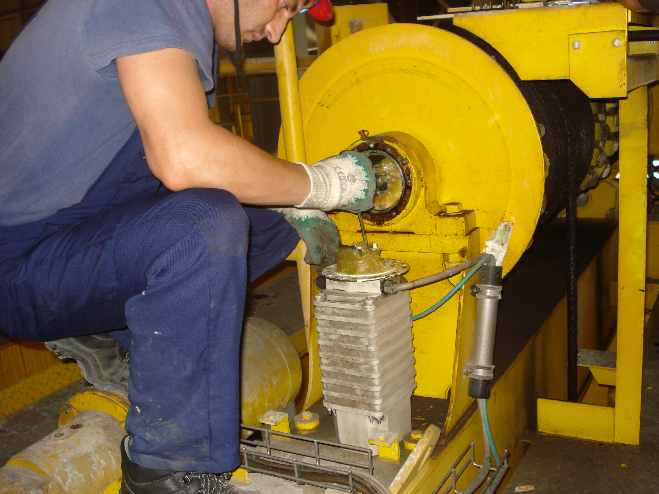 28t Electrolysis Hoist - Image 2